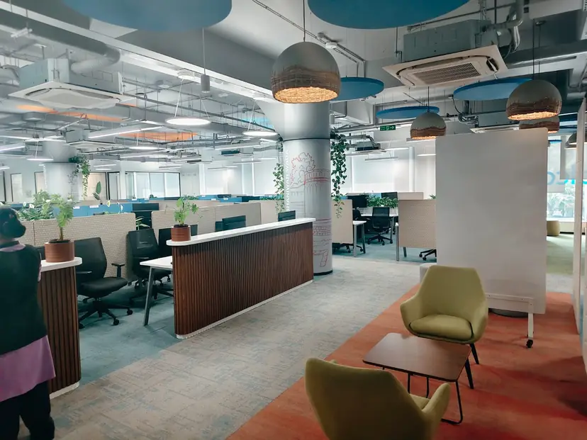 Reception and breakout lounge fit-out with a timber-clad reception counter and pendant lighting